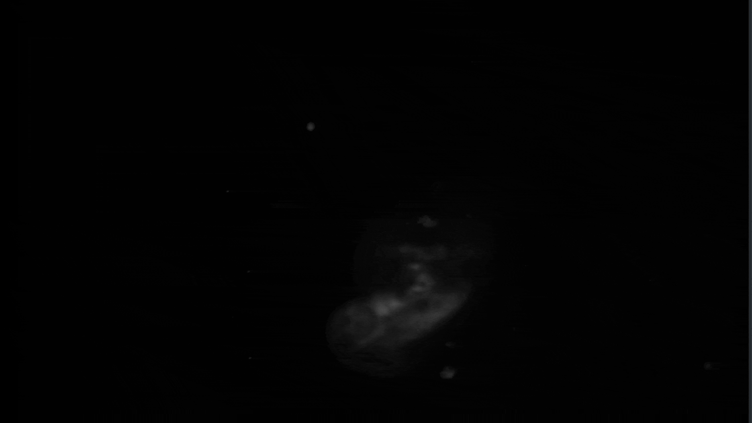Fluorescence & Lightsheet